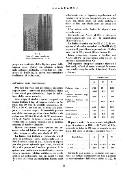 Cellulosa Bollettino ufficiale dell'Ente Nazionale per la cellulosa e per la carta