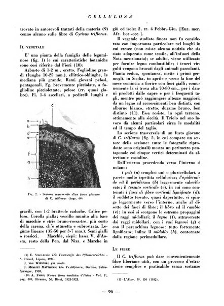 Cellulosa Bollettino ufficiale dell'Ente Nazionale per la cellulosa e per la carta