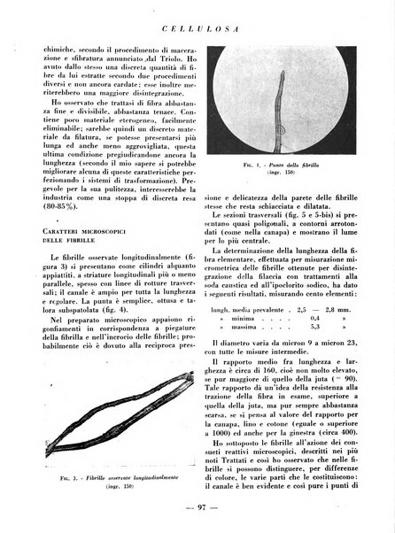 Cellulosa Bollettino ufficiale dell'Ente Nazionale per la cellulosa e per la carta