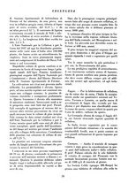 giornale/CFI0349782/1943/unico/00000062