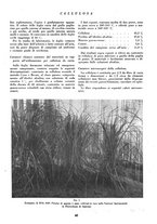 giornale/CFI0349782/1943/unico/00000074