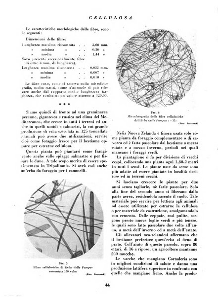 Cellulosa Bollettino ufficiale dell'Ente Nazionale per la cellulosa e per la carta