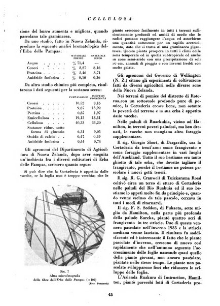 Cellulosa Bollettino ufficiale dell'Ente Nazionale per la cellulosa e per la carta