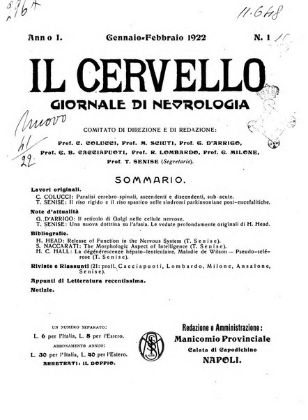 Il cervello Giornale di nevrologia