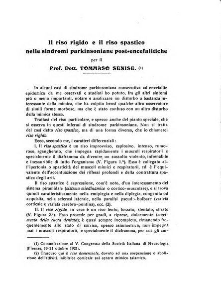 Il cervello Giornale di nevrologia