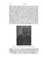 giornale/CFI0349856/1922/unico/00000018