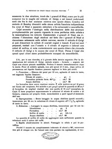 Il cervello Giornale di nevrologia