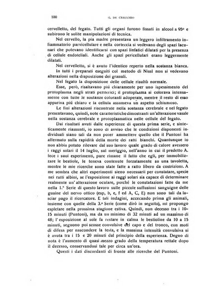 Il cervello Giornale di nevrologia