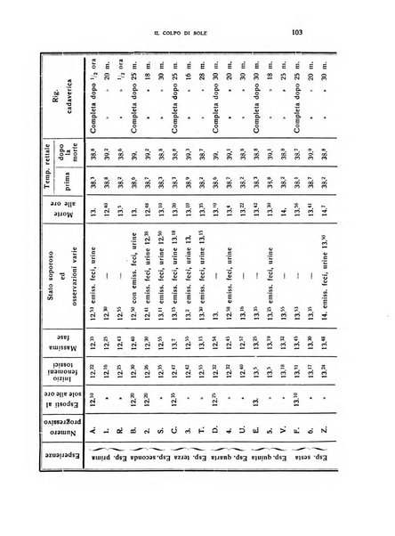 Il cervello Giornale di nevrologia