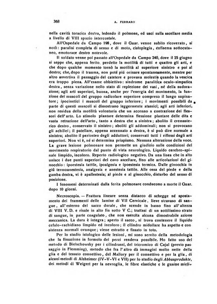 Il cervello Giornale di nevrologia