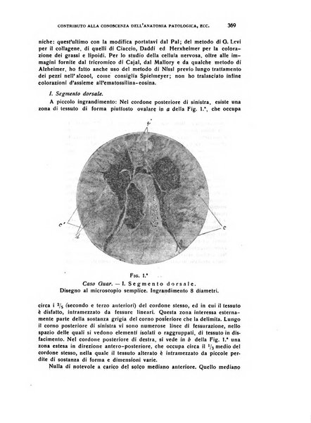 Il cervello Giornale di nevrologia