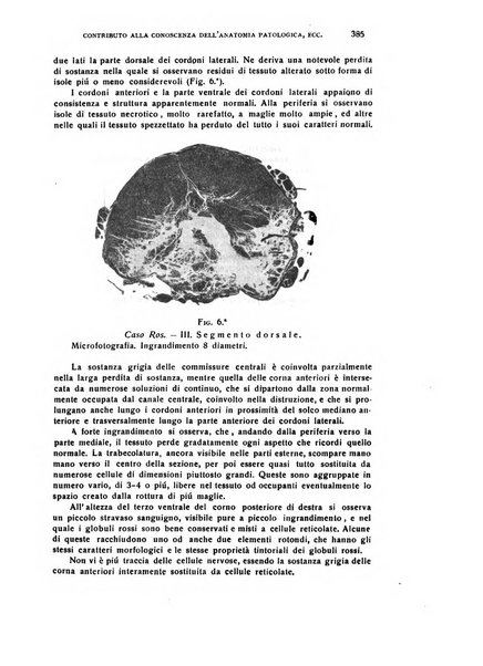 Il cervello Giornale di nevrologia