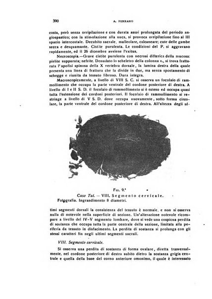 Il cervello Giornale di nevrologia