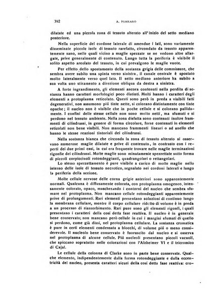 Il cervello Giornale di nevrologia