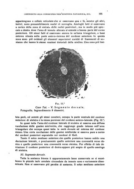 Il cervello Giornale di nevrologia