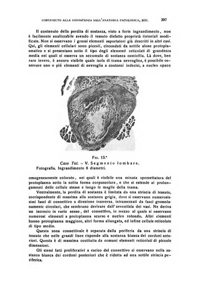 Il cervello Giornale di nevrologia