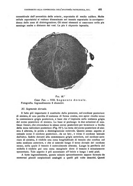 Il cervello Giornale di nevrologia