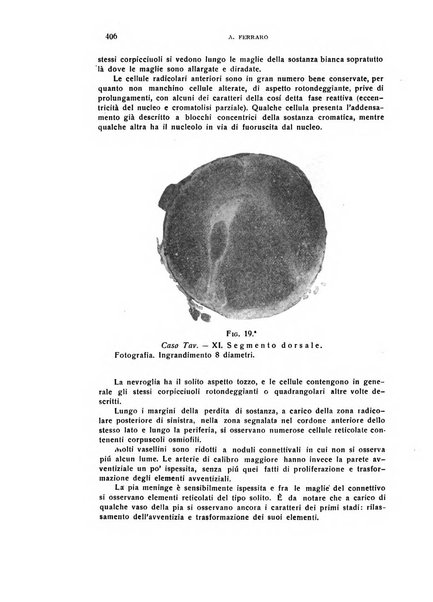 Il cervello Giornale di nevrologia