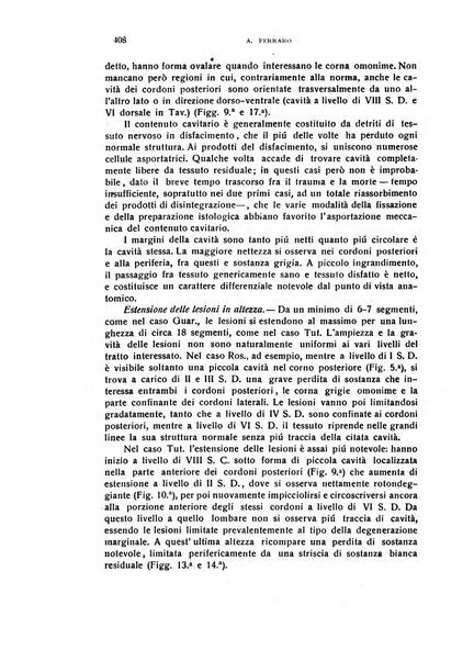 Il cervello Giornale di nevrologia