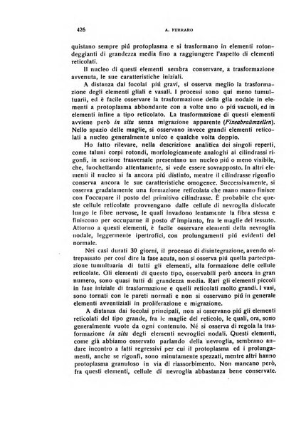 Il cervello Giornale di nevrologia