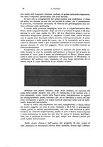 giornale/CFI0349856/1923/unico/00000032