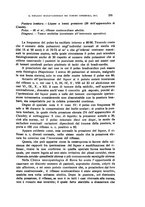 giornale/CFI0349856/1923/unico/00000255