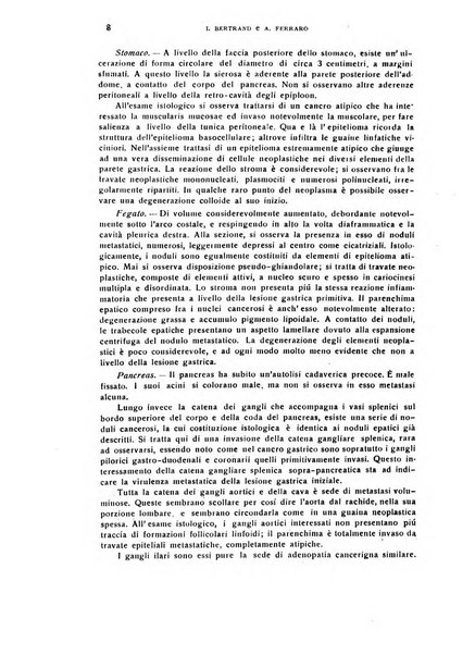 Il cervello Giornale di nevrologia