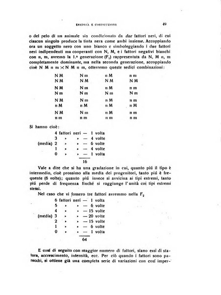 Il cervello Giornale di nevrologia