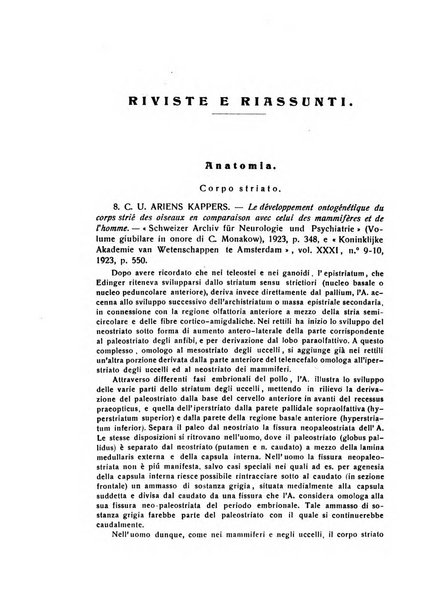 Il cervello Giornale di nevrologia