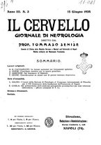 giornale/CFI0349856/1924/unico/00000165