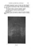 giornale/CFI0349856/1924/unico/00000341