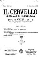 giornale/CFI0349856/1924/unico/00000373