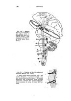 giornale/CFI0349856/1925/unico/00000116