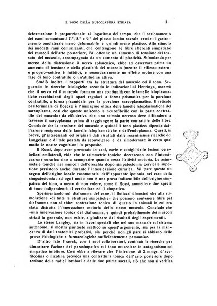 Il cervello Giornale di nevrologia