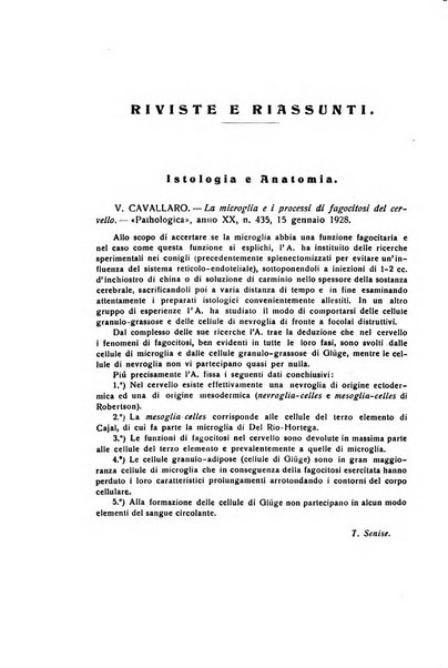 Il cervello Giornale di nevrologia