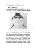giornale/CFI0349856/1929/unico/00000088