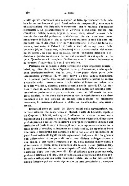 Il cervello Giornale di nevrologia