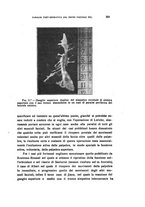 giornale/CFI0349856/1930/unico/00000301