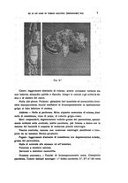 giornale/CFI0349856/1933/unico/00000013
