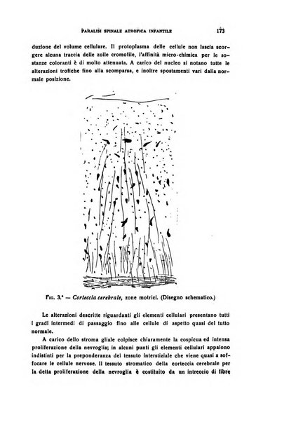 Il cervello Giornale di nevrologia