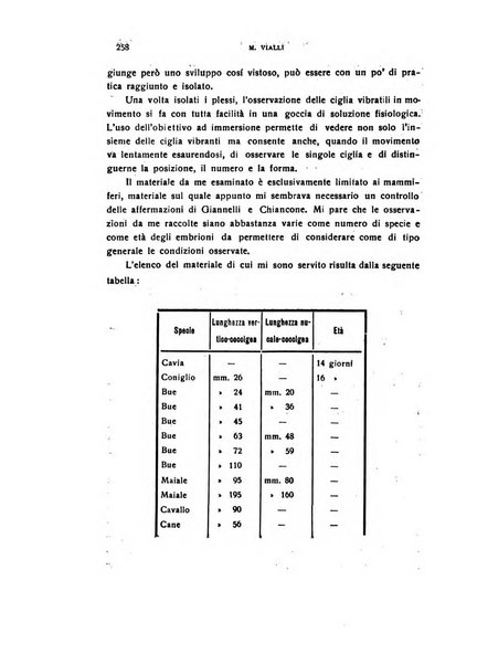 Il cervello Giornale di nevrologia