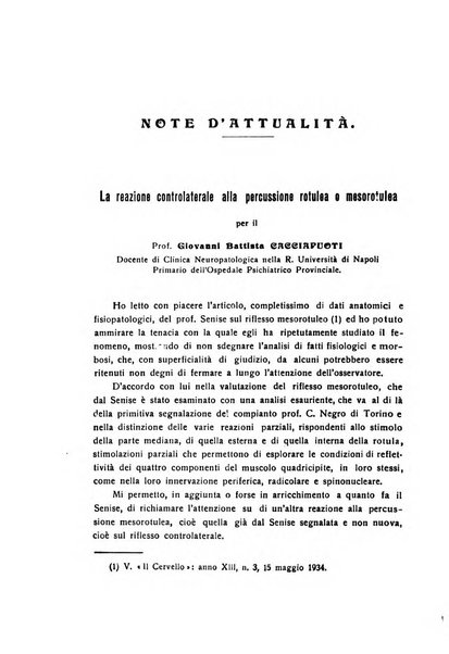 Il cervello Giornale di nevrologia