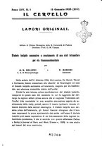 giornale/CFI0349856/1935/unico/00000009