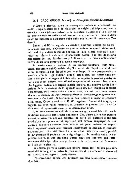 Il cervello Giornale di nevrologia