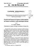 giornale/CFI0349856/1935/unico/00000379