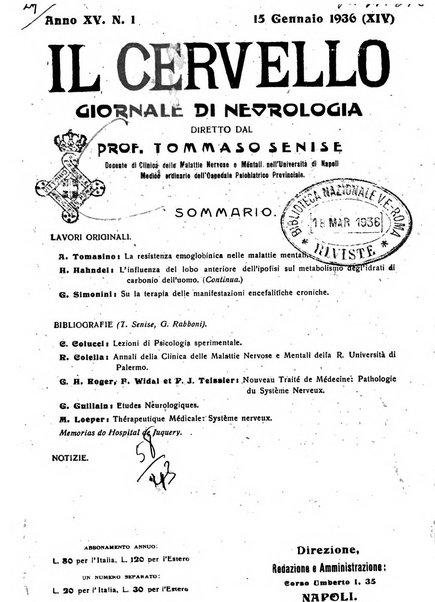 Il cervello Giornale di nevrologia