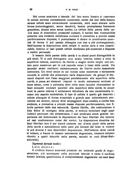 Il cervello Giornale di nevrologia