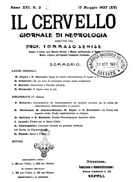 Il cervello Giornale di nevrologia