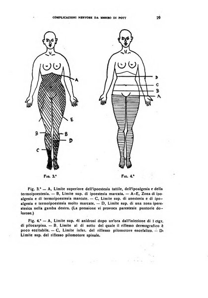 Il cervello Giornale di nevrologia