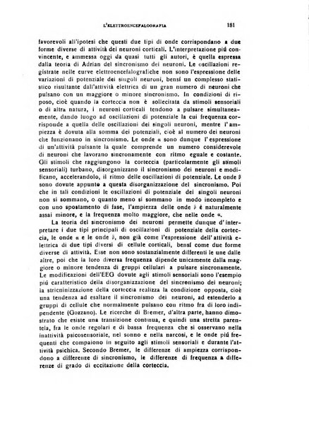 Il cervello Giornale di nevrologia